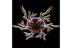 Люстра светодиод. 1837/6+3 LED CF диммер