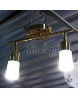 Люстра с плафоном 50795/2 FGD+WT