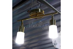 Люстра с плафоном 33888/3 C FGD+WT